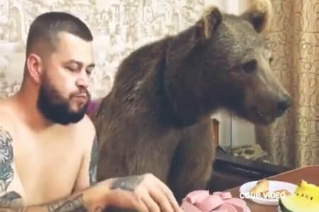 Завтрак с медведем